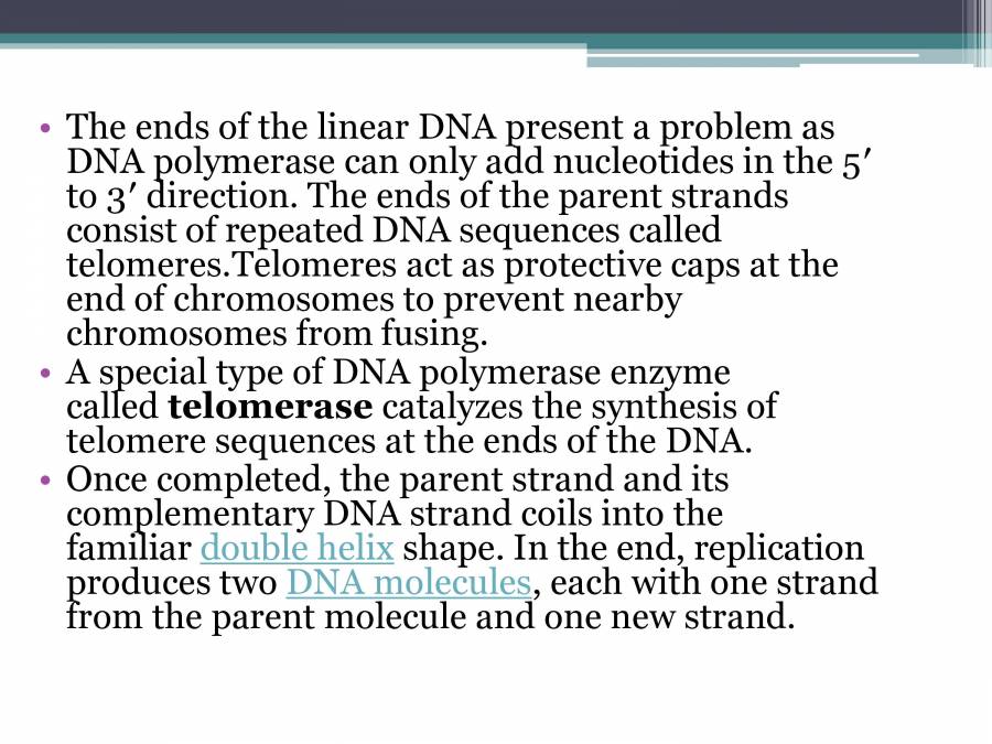 Presentation On Dna Replication Powerpoint Slides Learnpick India